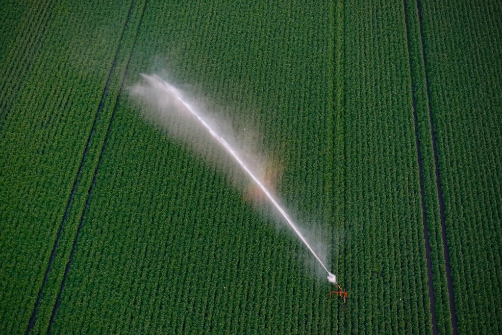 Cultural Farming Practices